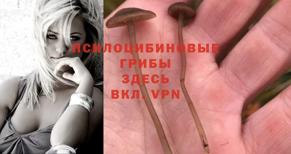 трава Балабаново