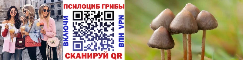 Псилоцибиновые грибы мицелий  Горняк 