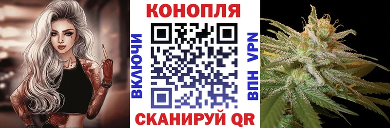 купить  сайты  Горняк  Шишки марихуана ГИДРОПОН 